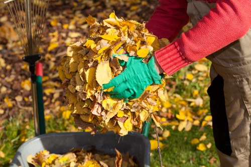 Diverse rubbish collection services in urban areas