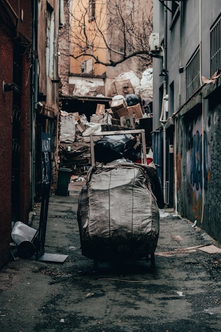 A narrow urban street with a row of dark grey and black wheelie bins lined up along the pavement, each with white painted numbers on their sides. The bins are positioned close to a red-brick row of te